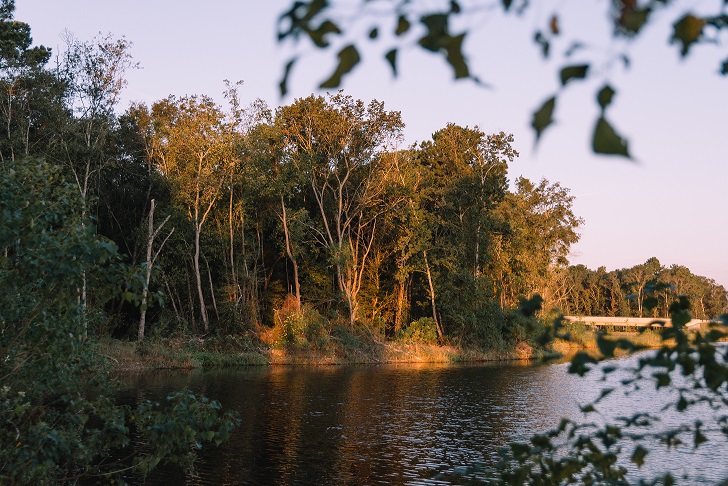 Town Grove Park at Valley Ranch